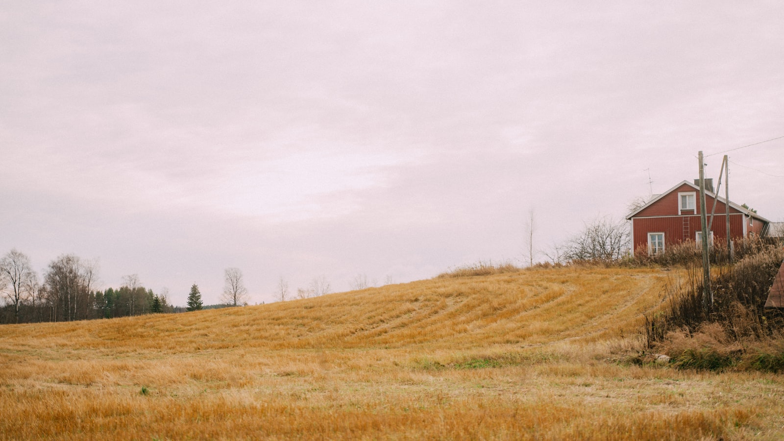 « Guide de l&rsquo;acheteur : comment choisir le bon kit panneau solaire pour votre maison en bois »