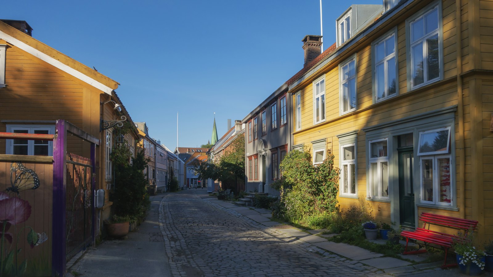 « Le futur de la construction durable : maisons en bois et panneaux solaires »