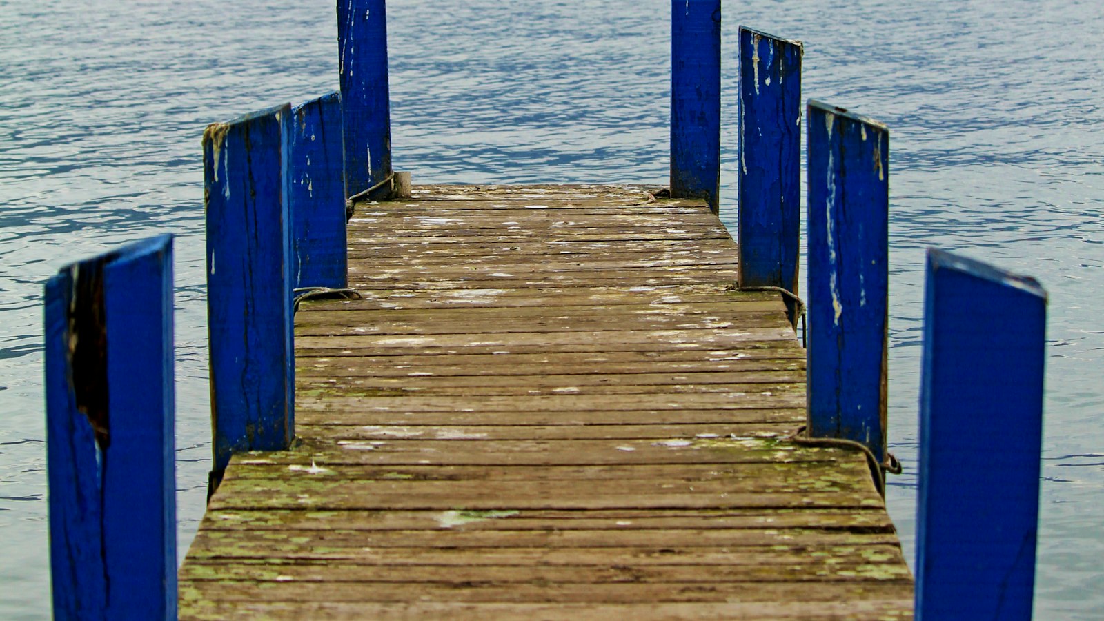 « Le futur de l’énergie : panneaux solaires dans les maisons en bois »