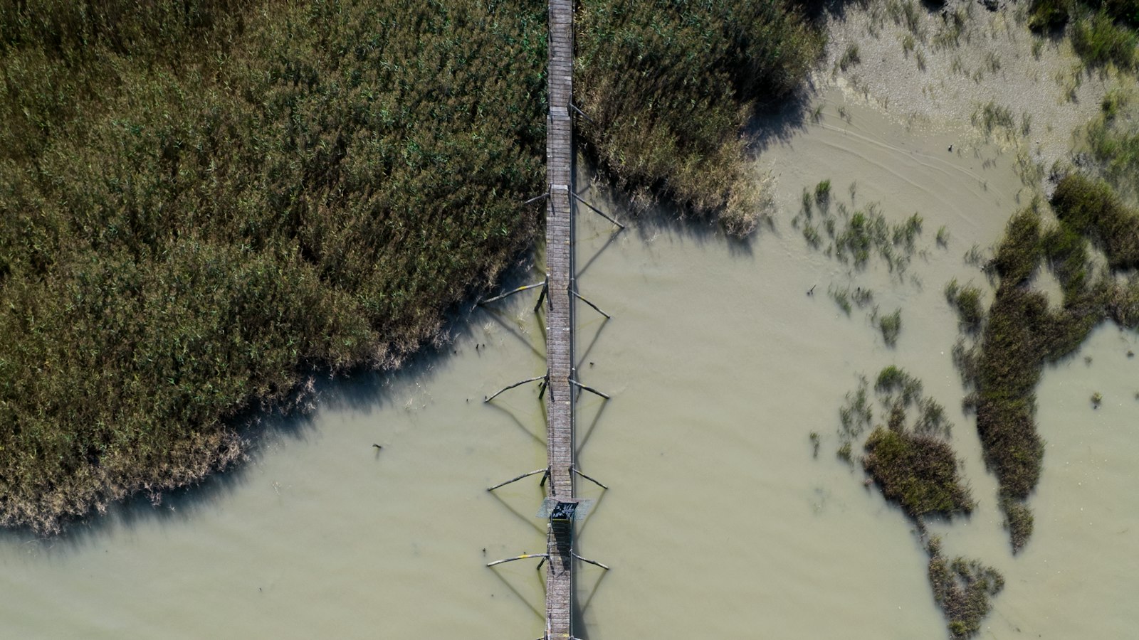 « Maison en bois écologique : comment les panneaux solaires contribuent à la durabilité »