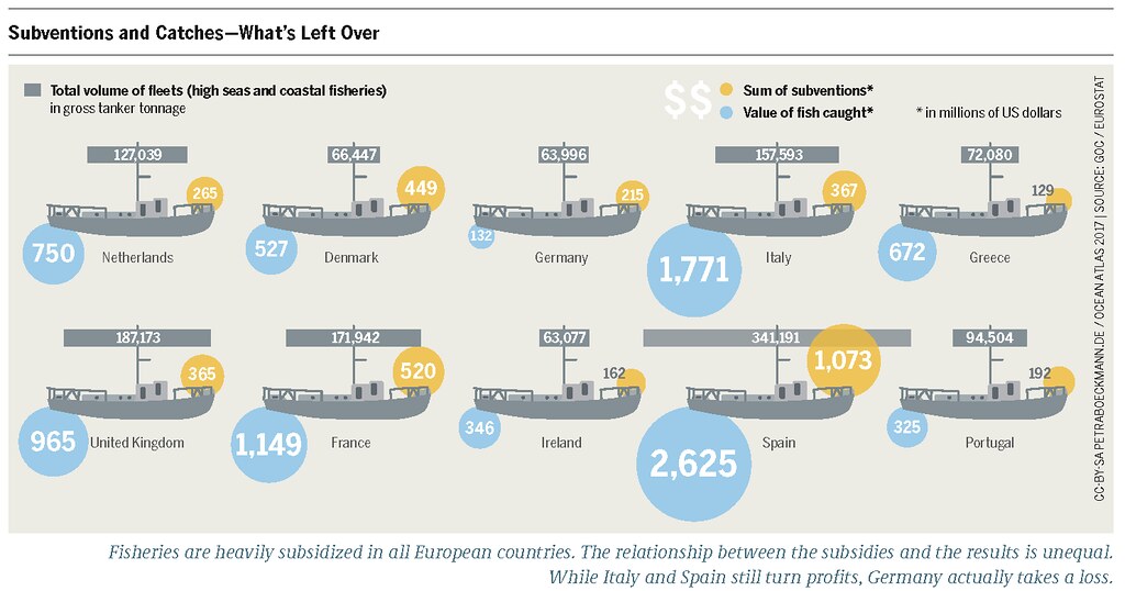 « Tout ce que vous devez savoir sur les subventions pour l&rsquo;installation de panneaux solaires dans une maison en bois »
