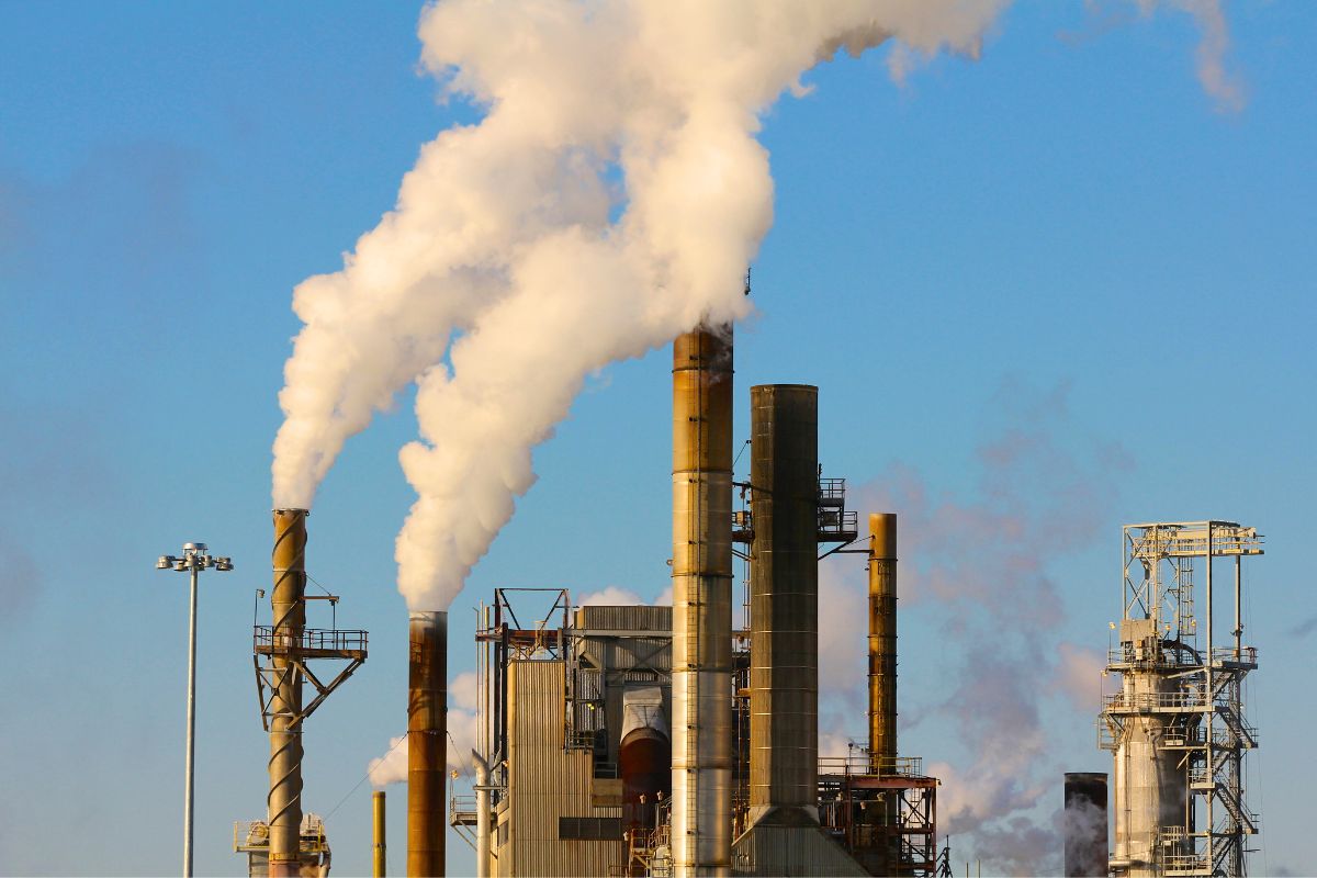 CO₂ levels haven't been this high in 14 million years